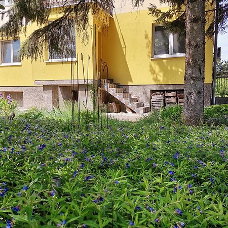 Стаи за гости Дом Градина Вита / Guest Rooms “House Vita Garden” София Екстериор снимка