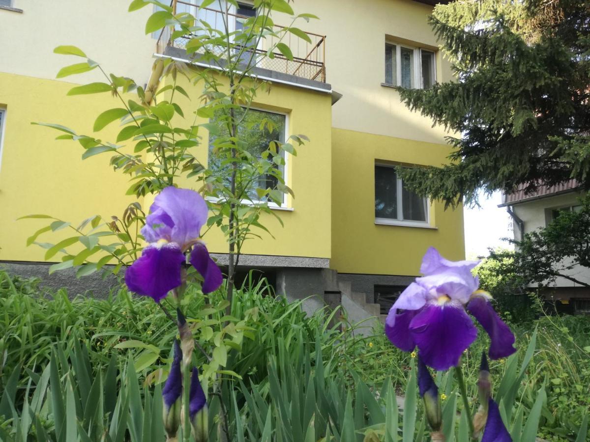 Стаи за гости Дом Градина Вита / Guest Rooms “House Vita Garden” София Екстериор снимка