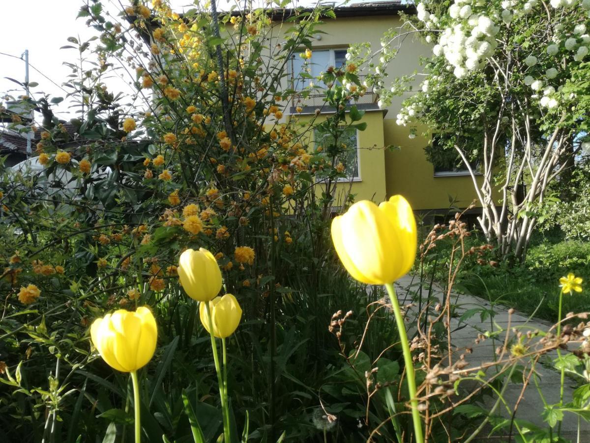 Стаи за гости Дом Градина Вита / Guest Rooms “House Vita Garden” София Екстериор снимка