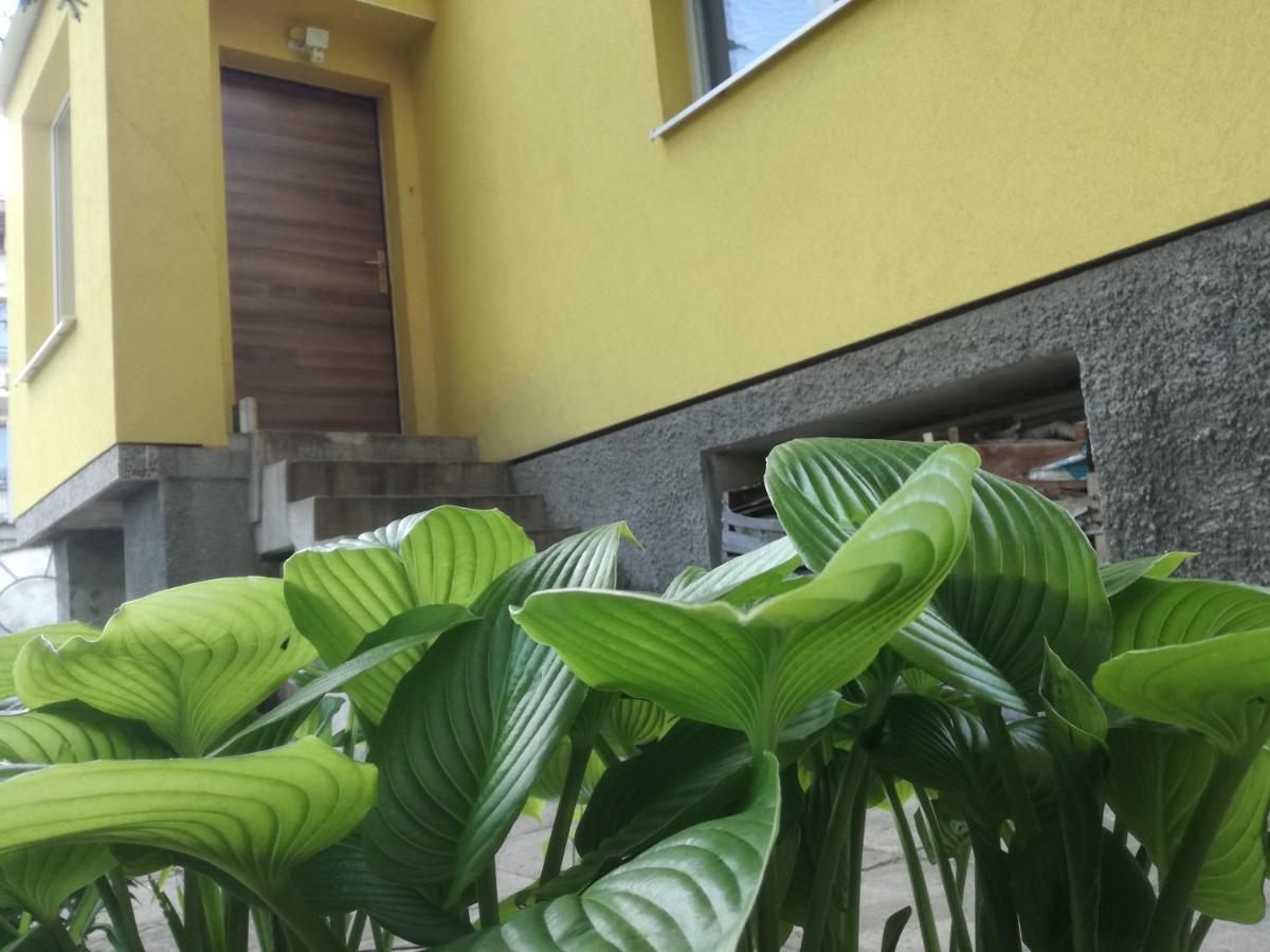 Стаи за гости Дом Градина Вита / Guest Rooms “House Vita Garden” София Екстериор снимка