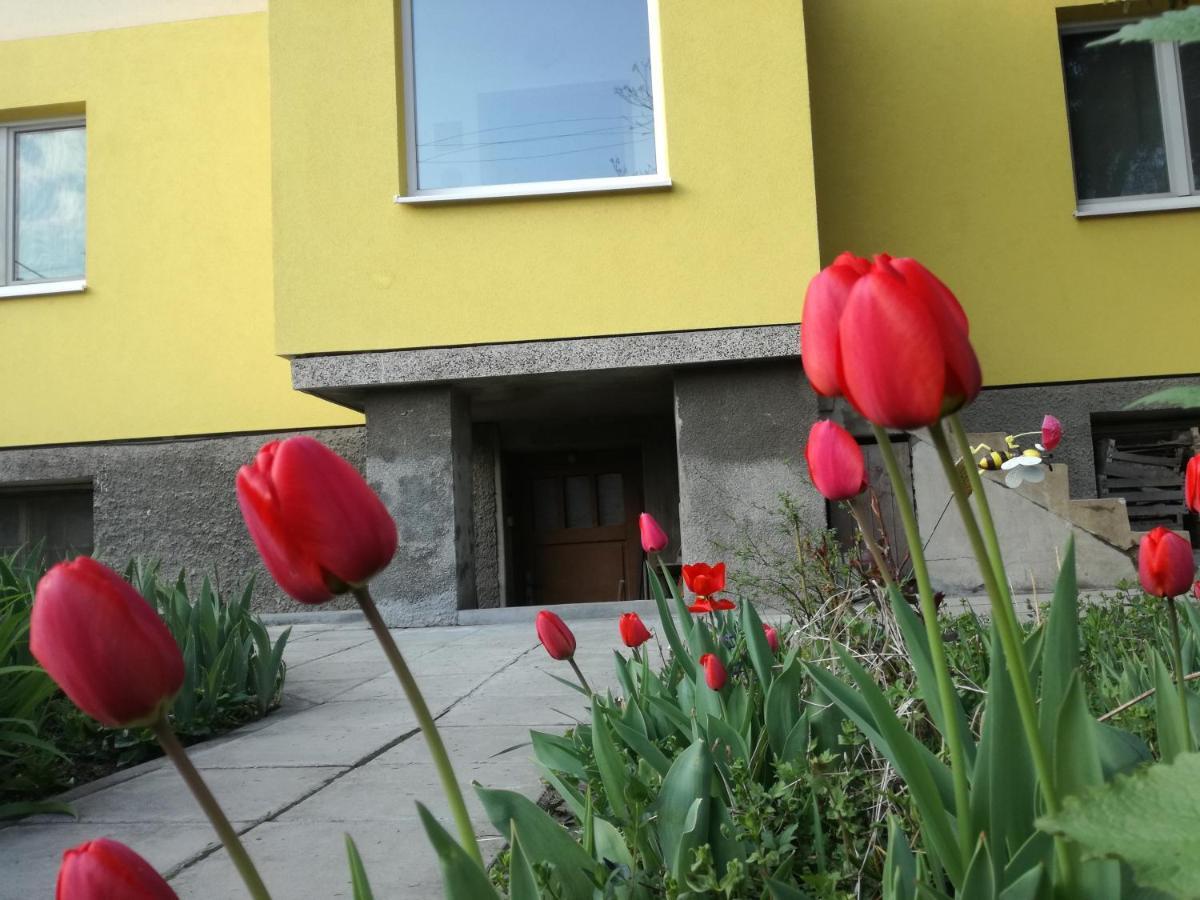 Стаи за гости Дом Градина Вита / Guest Rooms “House Vita Garden” София Екстериор снимка