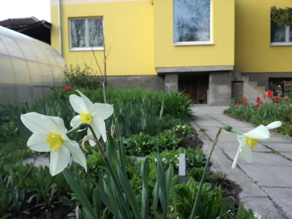 Стаи за гости Дом Градина Вита / Guest Rooms “House Vita Garden” София Екстериор снимка