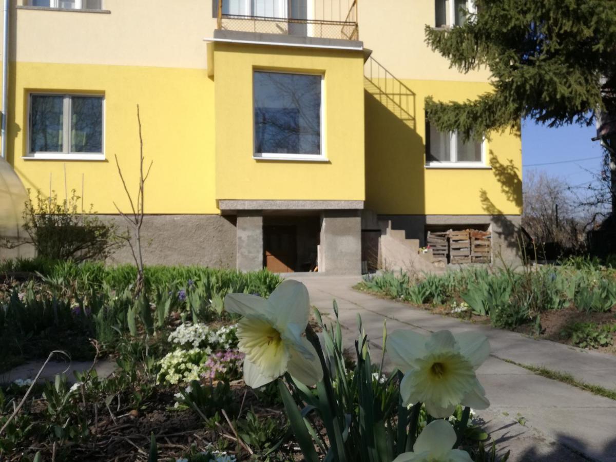Стаи за гости Дом Градина Вита / Guest Rooms “House Vita Garden” София Екстериор снимка